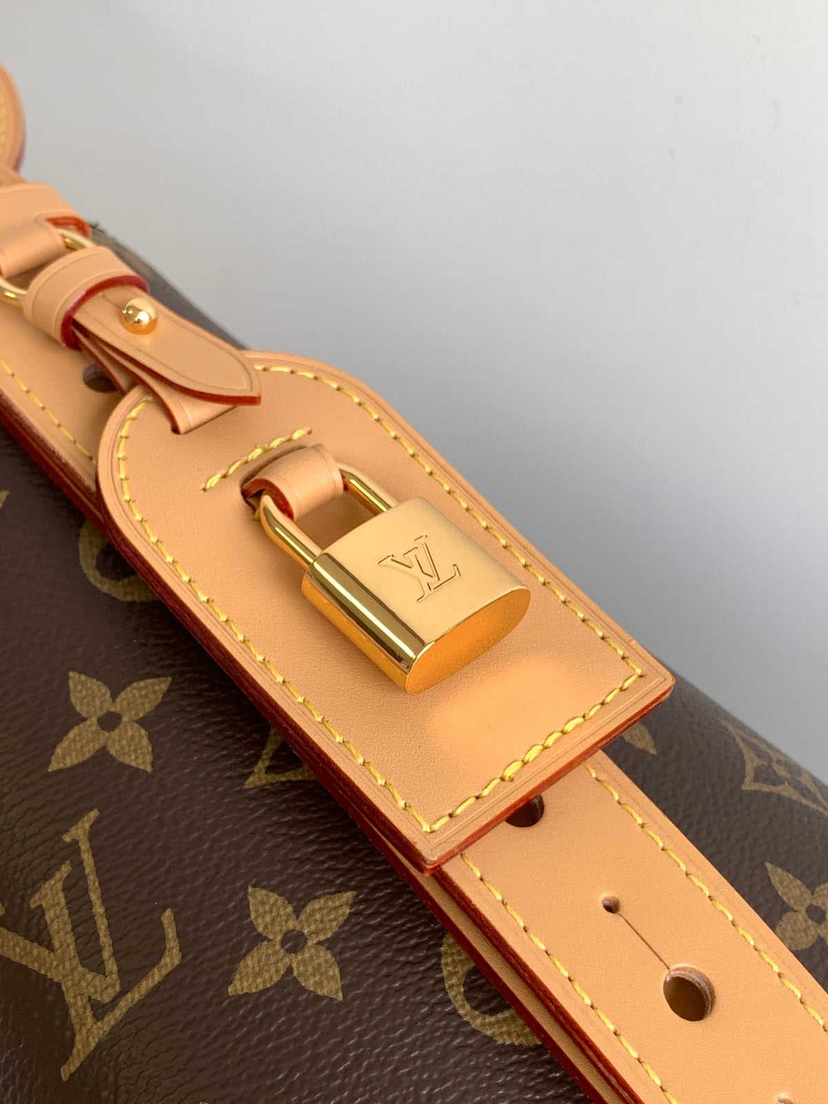 LV Tote Bag