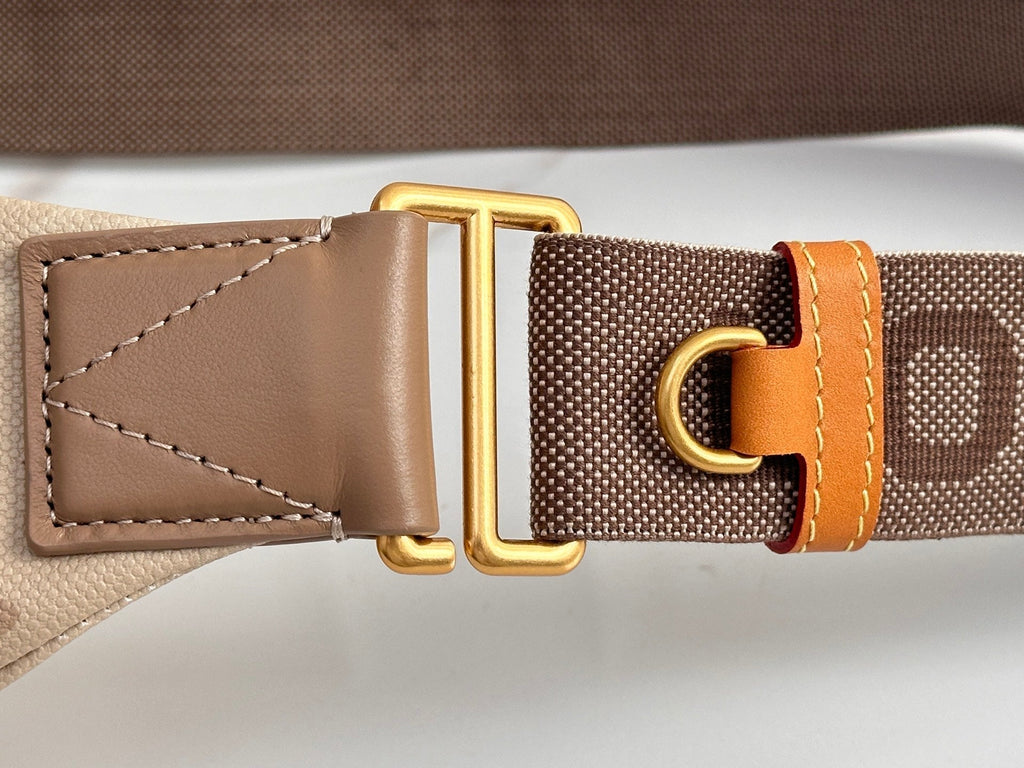 LV Apricot Gradient Waist Bag
